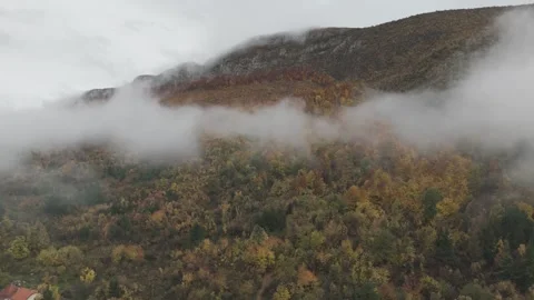 Mountain Forest In Autumn Stock Footage 321817565