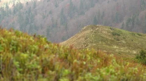 Mountain forest in background Stock Footage 68807128