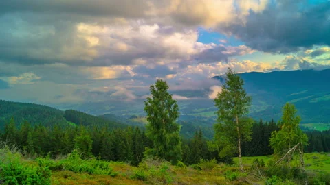 The Mountain Forest on Background of Sunset with Dramatic Sky and Fog Stock-Footage 143120155