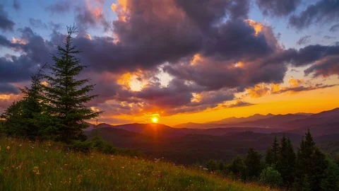 The Mountain Forest on the Background of the Sunset Stock Footage 78886982