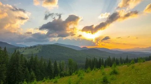 The Mountain Forest on the Background of the Sunset Stock-Footage 78887122