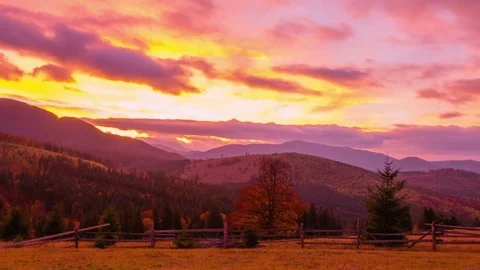 The Mountain Forest on the Background of the Sunset Vidéo 84105003