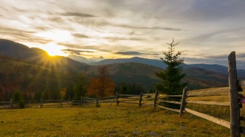 The Mountain Forest on the Background of the Sunset Vidéo 84769643