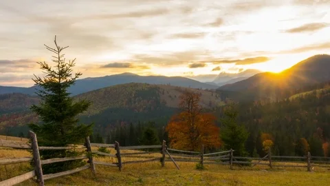 The Mountain Forest on the Background of the Sunset Stock-Footage 85232459