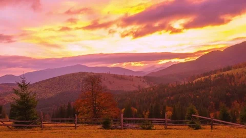The Mountain Forest on the Background of the Sunset Vidéo 85311222
