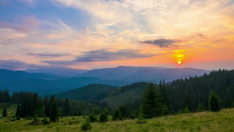 The Mountain Forest on the Background of the Sunset Stockbeeldmateriaal 98222389