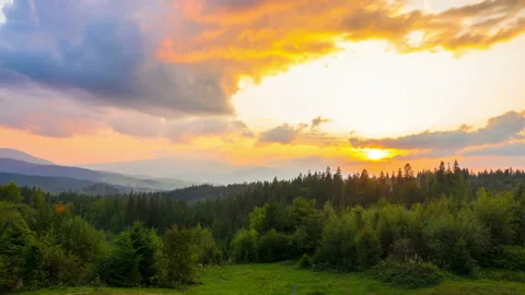 The Mountain Forest on the Background of the Sunset 스톡 동영상 98227973