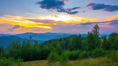 The Mountain Forest on Background of Sunset 库存影片 100248218