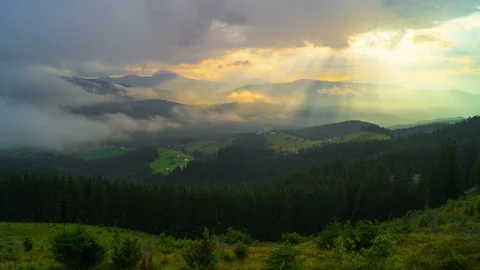 The Mountain Forest on Background of Sunset Stock Footage 103836442