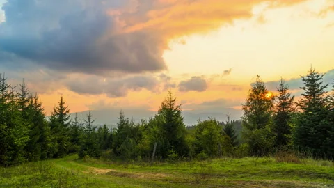 The Mountain Forest on Background of Sunset Stock Footage 110702205