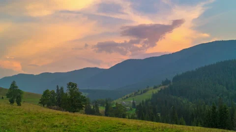 The Mountain Forest on Background of Sunset Stock Footage 115086353
