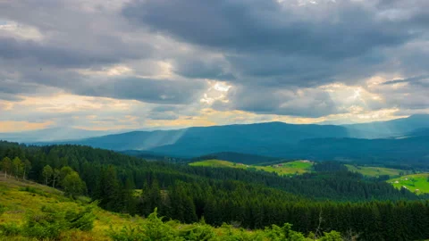 The Mountain Forest on Background of Sunset with Sun Rays Stock Footage 119422043