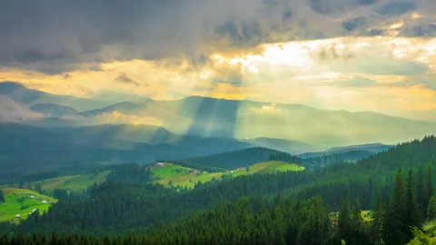 The Mountain Forest on Background of Sunset with Sun Rays Stock Footage 125483046
