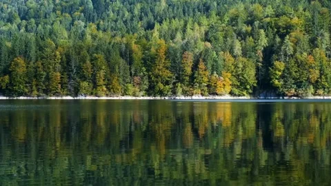 Mountain forest beautiful lake Stock-Footage 273698086