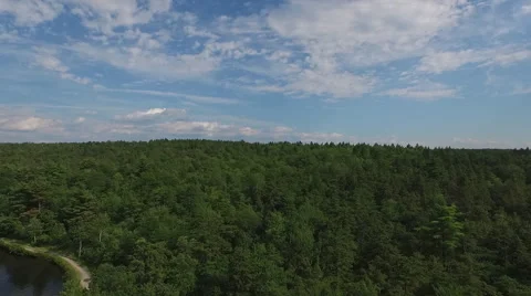 Mountain forest with bit of lake slow push Video stock 61890554