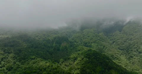 Mountain with forest in Camiguin Island. Philippines. Stock Footage 252129601