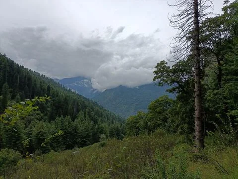 Mountain Forest &amp; Clouds Stock Photos
