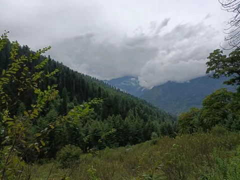 Mountain Forest &amp; Clouds Stock Photos