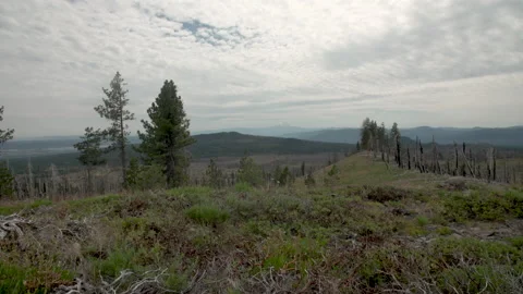 Mountain with forest cloudy Video stock 165270039