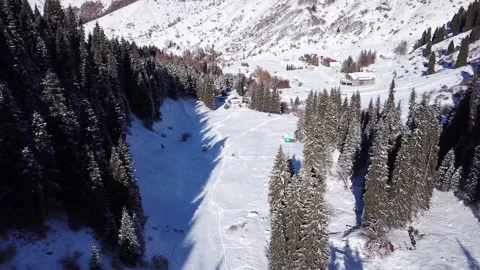 Mountain forest is completely covered with snow Stock Footage 147321168