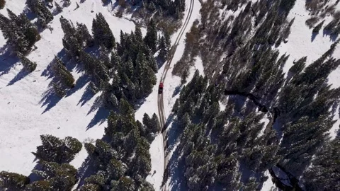 Mountain forest covers in snow. 動画素材 305702423