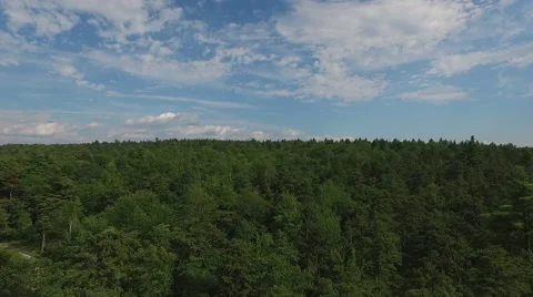 Mountain forest descend Video stock 61891002