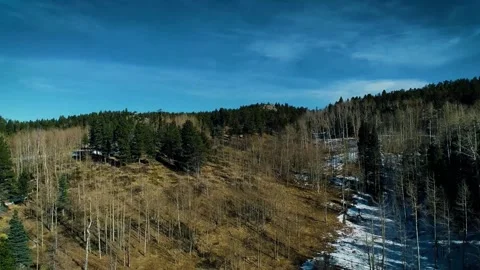 Mountain forest drone, winter forest view, scenic aerial panorama Stock Footage 310481177