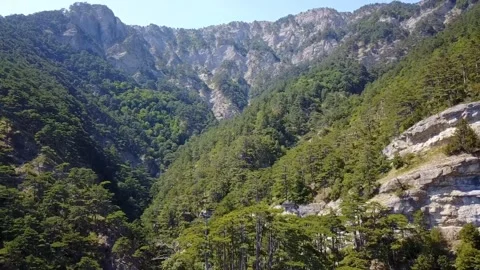 Mountain forest drones shot Video stock 268898433