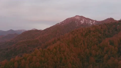 Mountain forest during sunset Stock Footage 161338027