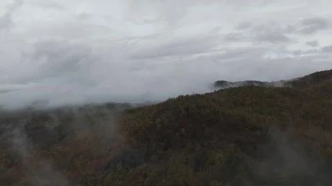 Mountain Forest In The Evening Stock Footage 321822349