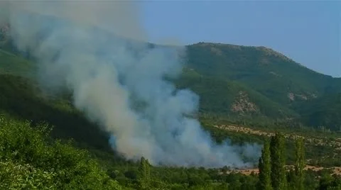 Mountain forest fire Stock Footage