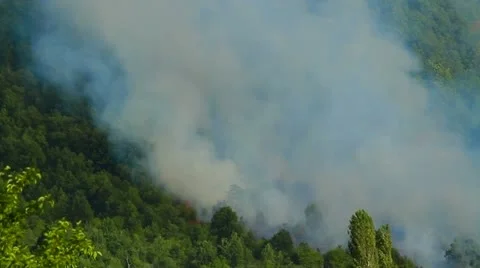 Mountain forest fire Stock Footage