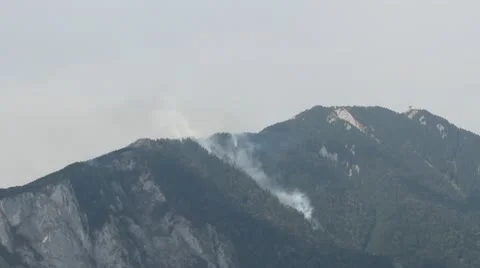 Mountain forest fire Stock-Footage 12094494