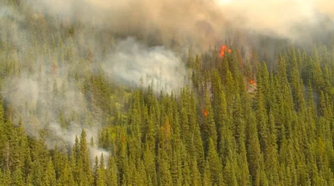 Mountain forest fire, Mt Buller #96, aerial, huge flames and smoke Stock Footage