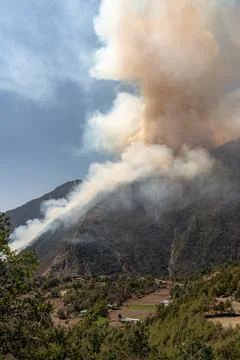 Mountain Forest Fire Stock Photos