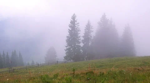 Mountain Forest Fog Stock Footage 65989558