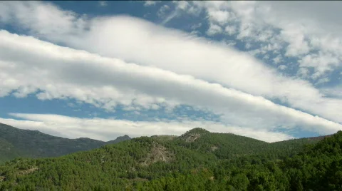 Mountain forest Stock Footage 532430