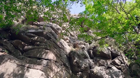 Mountain in the forest Stock-Footage 41472863