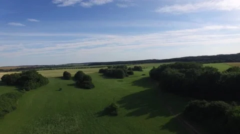 Mountain forest Stock Footage 52155862