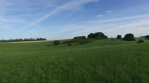 Mountain forest Stock Footage 52155951