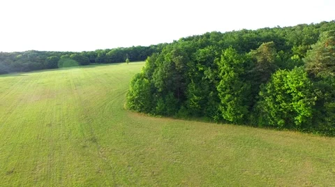 Mountain forest Stock Footage 52156258