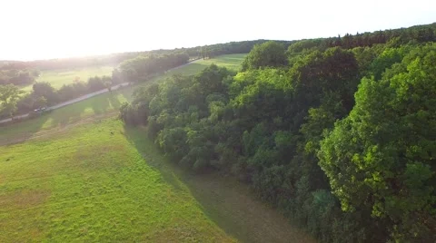 Mountain forest Stock Footage 52156893