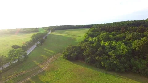 Mountain forest Stock Footage 52157034