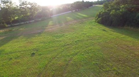 Mountain forest Stock Footage 52157171