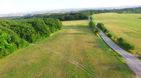 Mountain forest Stock Footage 52157253