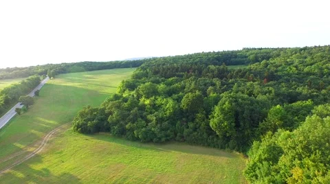 Mountain forest Stock Footage 52157683