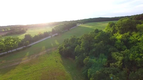 Mountain forest Stock Footage 52157693