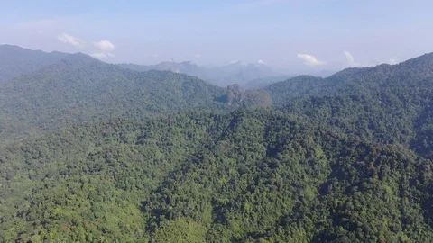 Mountain forest Video stock 102114360