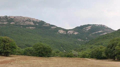 Mountain forest Stock Footage 107397515