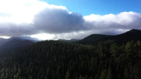 Mountain forest Video stock 110955205